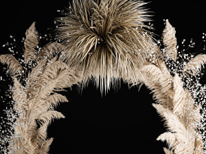 Wedding Arch Made Of Dried Flowers Pampas Grass Model 3D