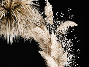 Wedding Arch Made Of Dried Flowers Pampas Grass Model 3D