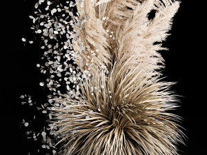 Wedding Arch Made Of Dried Flowers Pampas Grass 3D 모델