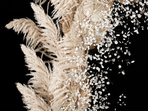 Wedding Arch Made Of Dried Flowers Pampas Grass 3D 모델