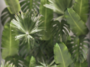 Vertical Garden From Plant Branches In A Phytobox 3D Model