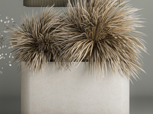 Plants In Flowerpots Made Of Dried Flowers 3D-Modell