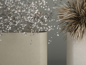Plants In Flowerpots Made Of Dried Flowers 3D-Modell