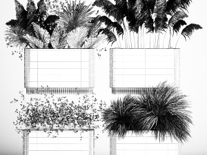 Plants In Flowerpots Made Of Dried Flowers 3D-Modell