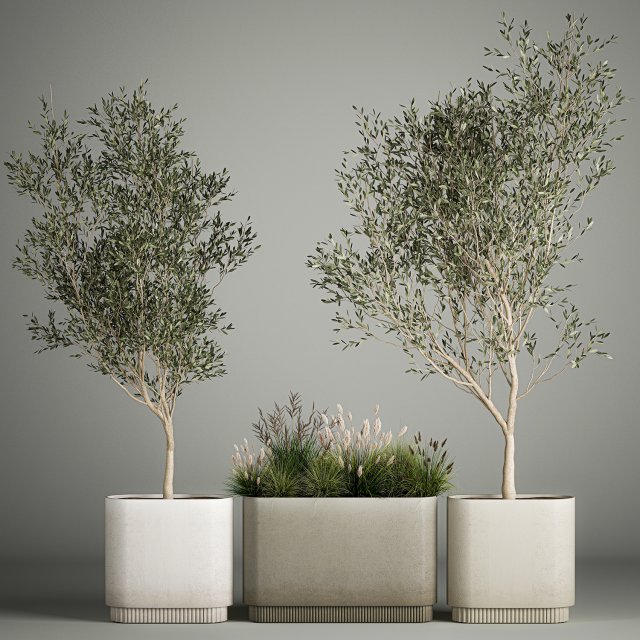 Decorative trees in concrete pots with bushes Modèle 3D .c4d .max .obj .3ds .fbx .stl .blend 