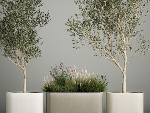 Decorative trees in concrete pots with bushes Modèle 3D