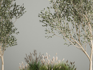 Decorative trees in concrete pots with bushes Modèle 3D