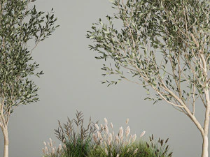 &Aacute;rvores decorativas em vasos de concreto com arbustos Modelo 3D