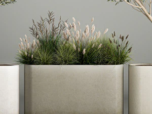 &Aacute;rvores decorativas em vasos de concreto com arbustos Modelo 3D