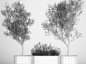 &Aacute;rvores decorativas em vasos de concreto com arbustos Modelo 3D