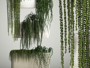 Vertical Gardening Of Wall Plants In Pots 3D Model