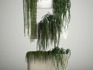 Vertical Gardening Of Wall Plants In Pots 3D Model