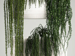 Vertical Gardening Of Wall Plants In Pots 3D Model