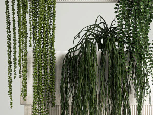 Vertical Gardening Of Wall Plants In Pots 3D Model