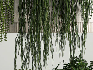 Vertical Gardening Of Wall Plants In Pots 3D Model