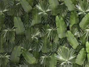 Vertical Garden From Plant Branches In A Phytobox 68 3D Model