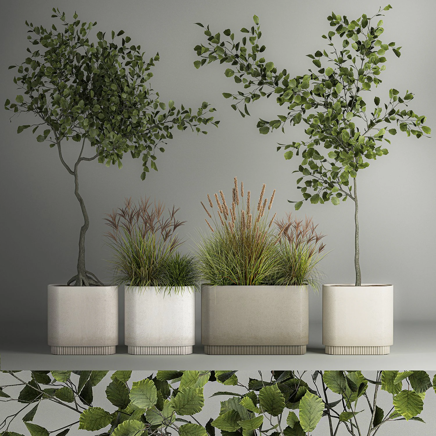 Decorative Trees In Concrete Pots For Landscaping 3D Model .c4d .max .obj .3ds .fbx .stl .blend