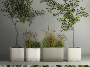 Decorative Trees In Concrete Pots For Landscaping 3Dモデル