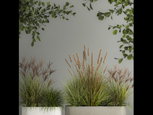 Decorative Trees In Concrete Pots For Landscaping 3D Model
