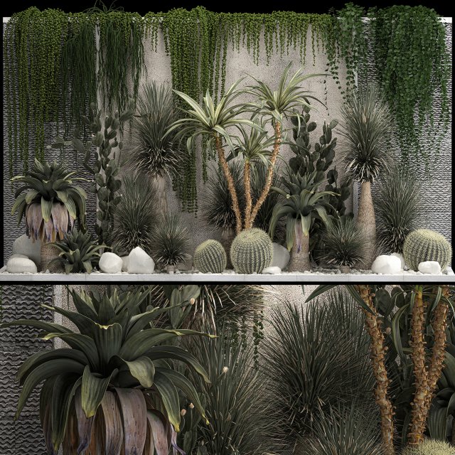 Collection Of Tropical Desert Plants From Cactus 3Dモデル .c4d .max .obj .3ds .fbx .stl .blend 