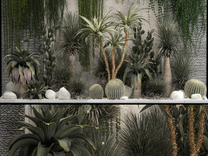 Collection Of Tropical Desert Plants From Cactus 3D Model