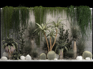Collection Of Tropical Desert Plants From Cactus 3Dモデル