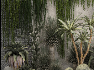 Collection Of Tropical Desert Plants From Cactus 3Dモデル