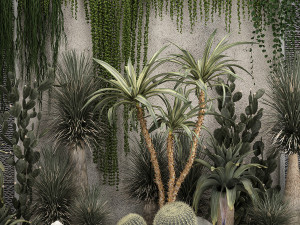 Collection Of Tropical Desert Plants From Cactus 3Dモデル