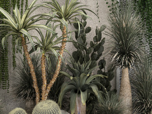 Collection Of Tropical Desert Plants From Cactus 3Dモデル