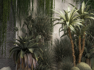 Collection Of Tropical Desert Plants From Cactus 3Dモデル