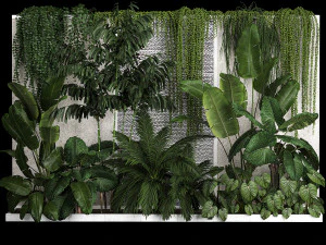 Garden And Tropical Flowerbed With Hanging Plants 3D Model