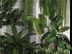 Garden And Tropical Flowerbed With Hanging Plants Modelo 3D