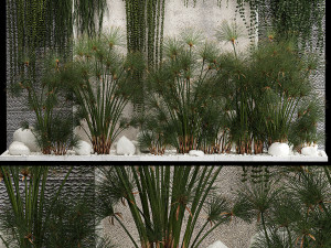 Garden And Tropical Flowerbed With Hanging Plants 3D Model