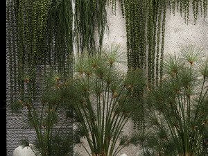 Garden And Tropical Flowerbed With Hanging Plants 3D Model