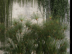 Garden And Tropical Flowerbed With Hanging Plants 3D Model