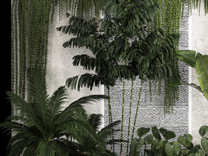 Garden And Tropical Flowerbed With Hanging Plants 1125 Modèle 3D