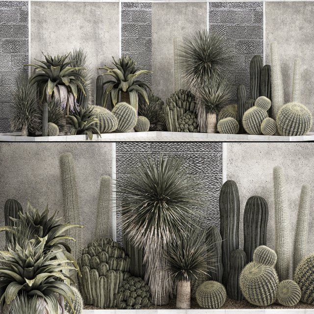 Collection Of Tropical Desert Plants 1126 Modelo 3D .c4d .max .obj .3ds .fbx .stl .blend 