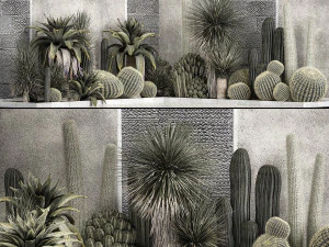 Kolekcja tropikalnych roślin pustynnych 1126 Model 3D