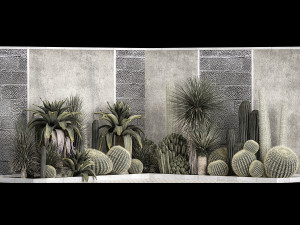 Collection Of Tropical Desert Plants 1126 Modelo 3D
