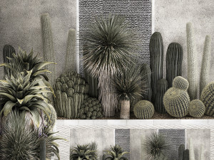Collection Of Tropical Desert Plants 1126 Modelo 3D