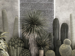 Collection Of Tropical Desert Plants 1126 Modelo 3D