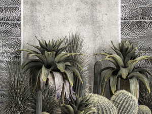 Collection Of Tropical Desert Plants 1126 Modelo 3D