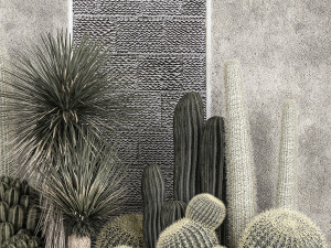 Collection Of Tropical Desert Plants 1126 Modelo 3D