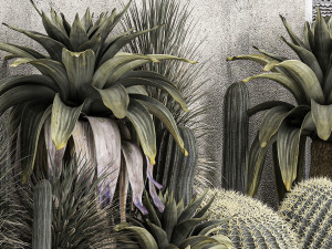 Collection Of Tropical Desert Plants 1126 Modelo 3D