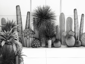 Collection Of Tropical Desert Plants 1126 Modelo 3D