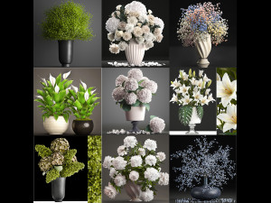 Collection of bouquets 33 pieces 3D Model