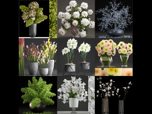 Collection of bouquets 33 pieces 3D Model