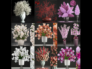 Collection of bouquets 40 pieces 3D 모델