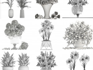 Collection of bouquets 39 pieces Modelo 3D