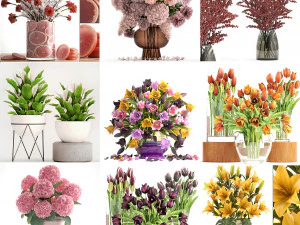 Collection of bouquets 40 pieces 3D Model